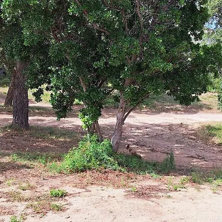 Petit Paradis Du Maquis Corse Casa Luna Вилла Сент-Люси-де-Пор
