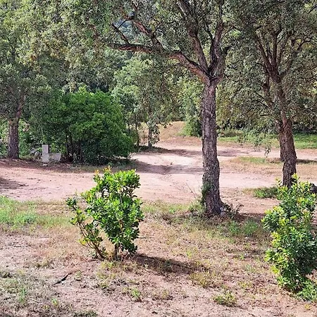 Petit Paradis Du Maquis Corse Casa Luna Sainte-Lucie de Porto-Vecchio