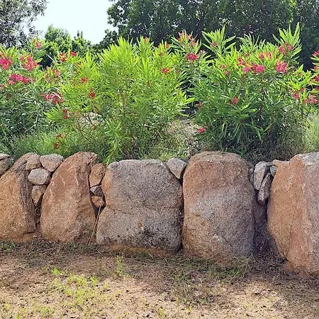 Petit Paradis Du Maquis Corse Casa Luna Βίλα *