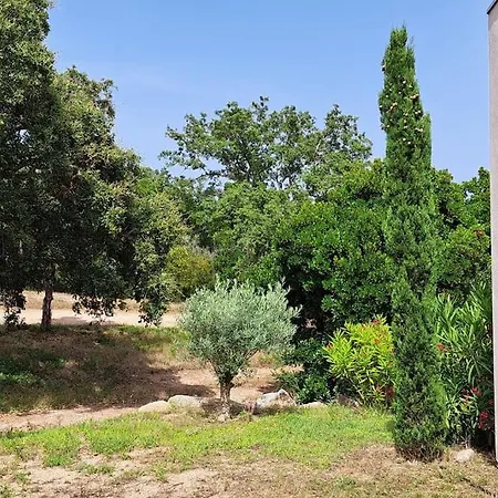 Petit Paradis Du Maquis Corse Casa Luna Βίλα *